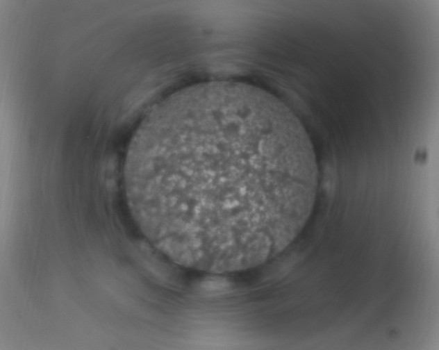 X0000113960519200910162006