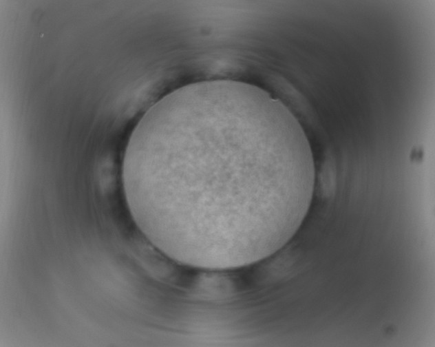 X0000113960520200910162006