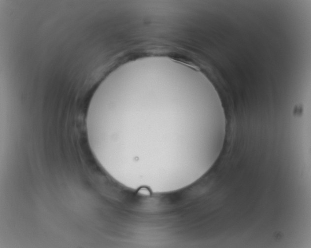 X0000113960521200910162006