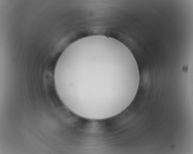 X0000113960522200910162006