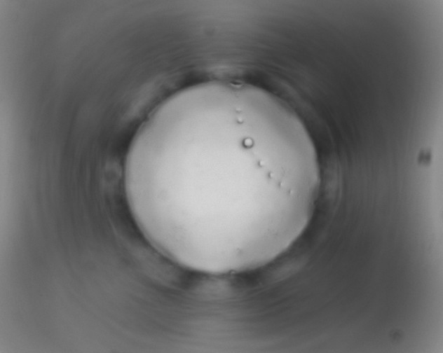 X0000113960523200910162006