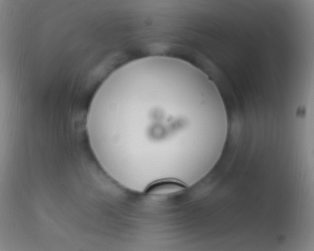 X0000113960525200910162006