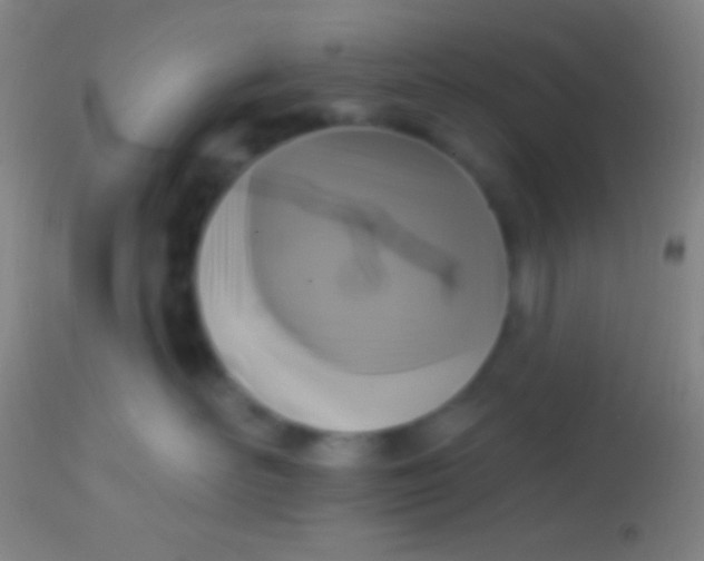 X0000113960526200910162006