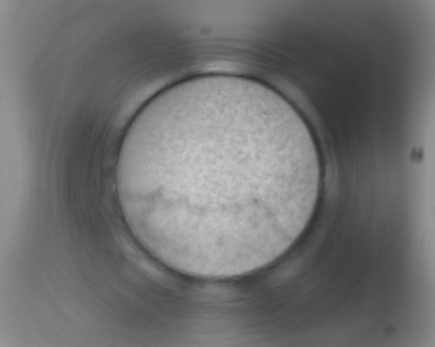 X0000113960529200910162006