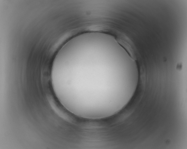 X0000113960530200910162006