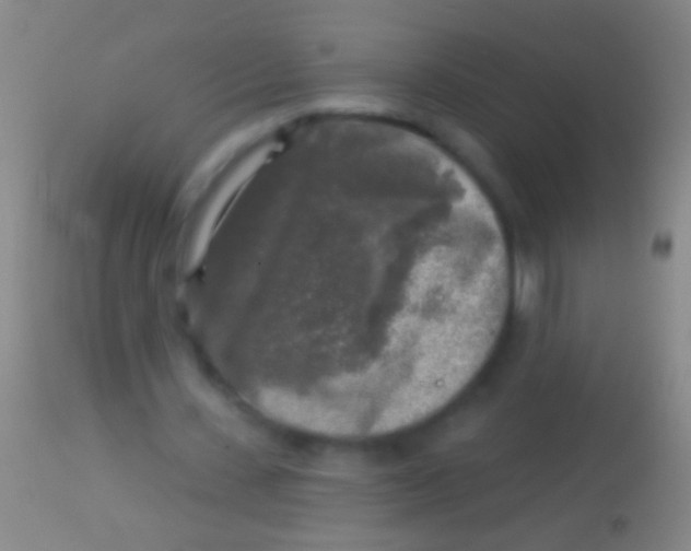 X0000113960531200910162006