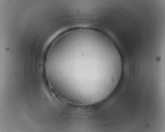 X0000113960532200910162006