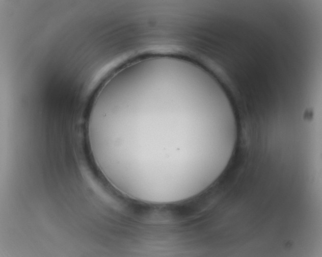 X0000113960535200910162006