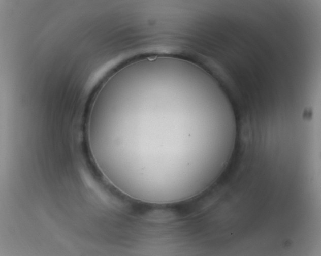 X0000113960536200910162006