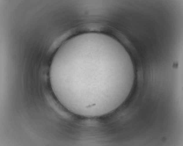 X0000113960537200910162006