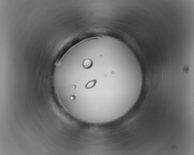 X0000113960538200910162006