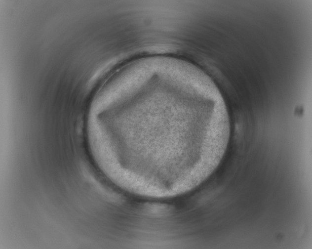 X0000113960539200910162006