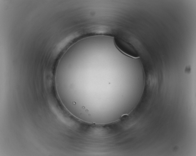 X0000113960540200910162006