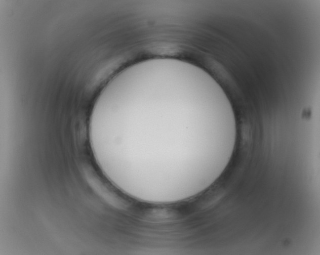 X0000113960541200910162006