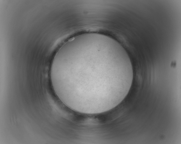 X0000113960543200910162006