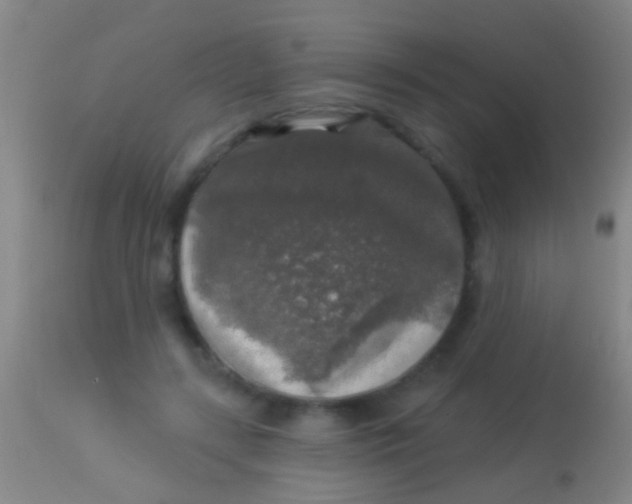 X0000113960547200910162006