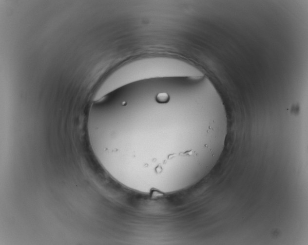 X0000113960548200910162006