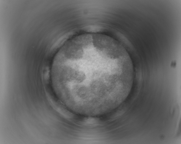 X0000113960549200910162006