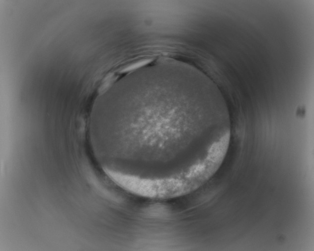 X0000113960551200910162006