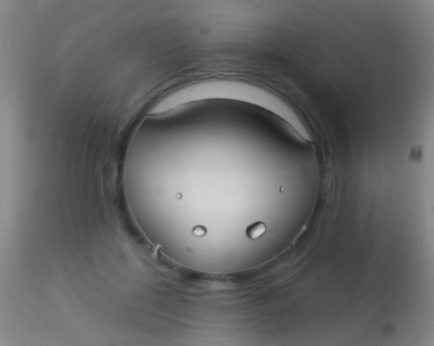 X0000113960552200910162006