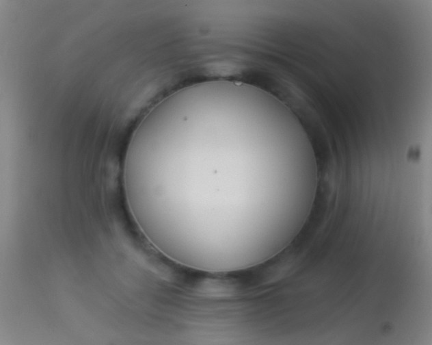 X0000113960556200910162006