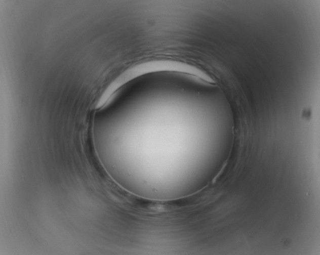 X0000113960558200910162006