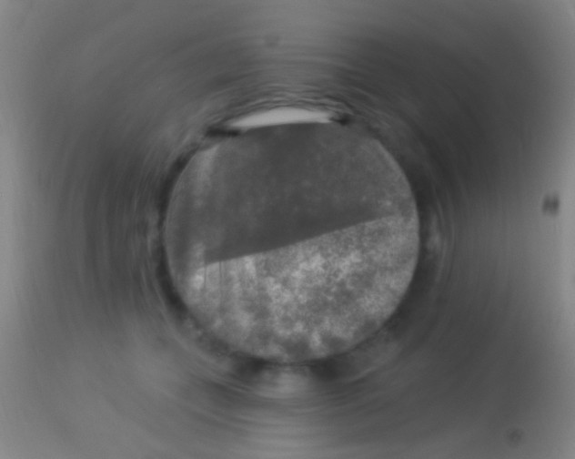 X0000113960559200910162006