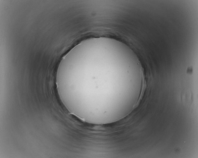 X0000113960562200910162006