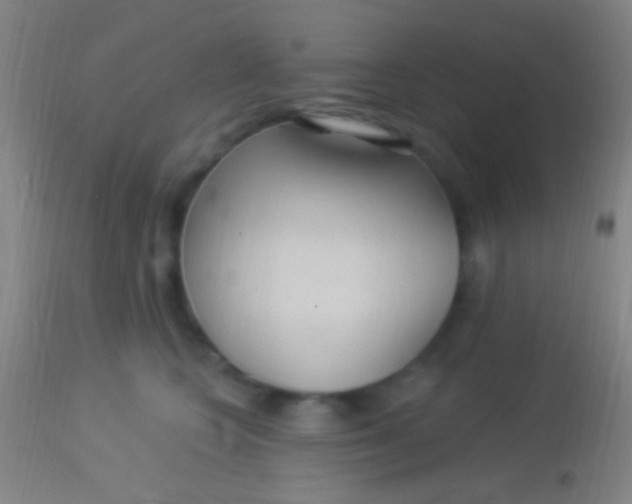 X0000113960566200910162006