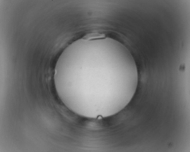 X0000113960567200910162006