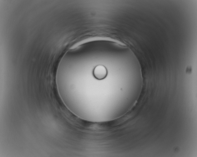 X0000113960568200910162006