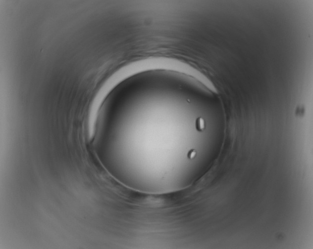 X0000113960570200910162006