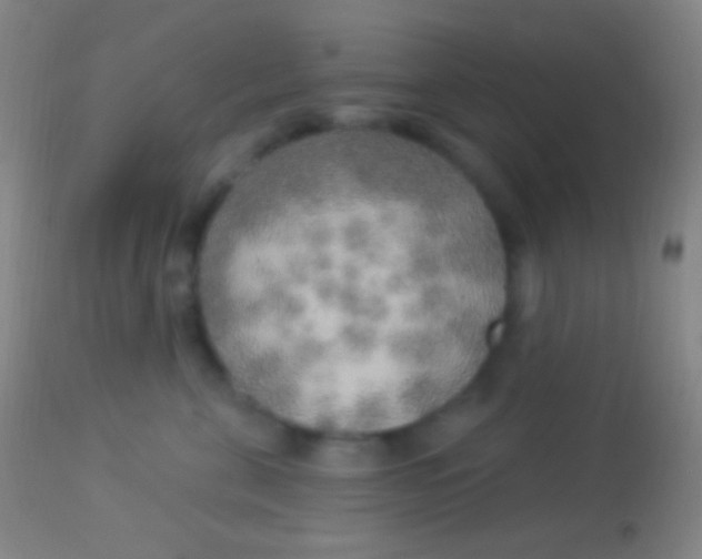 X0000113960571200910162006