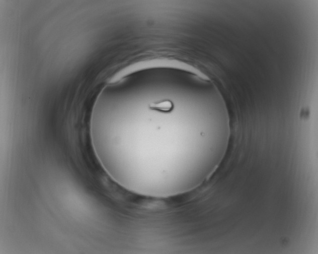 X0000113960572200910162006