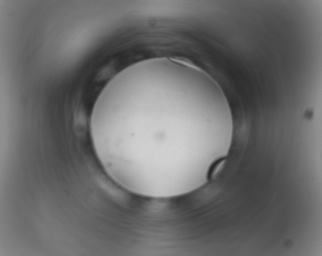 X0000113960574200910162006