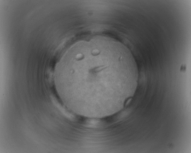 X0000113960575200910162006