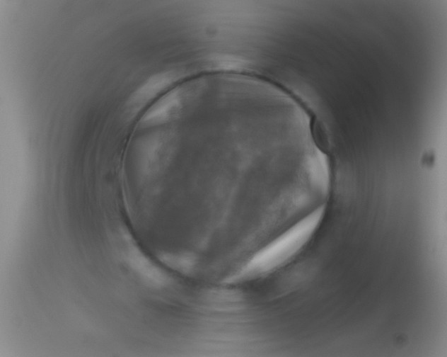 X0000113960577200910162006