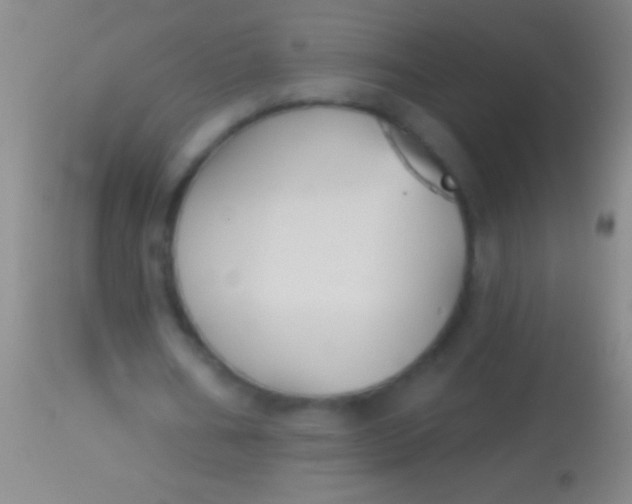 X0000113960578200910162006