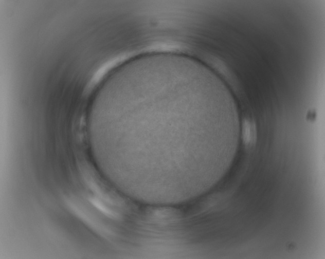 X0000113960579200910162006