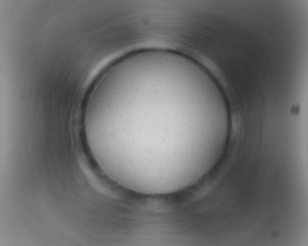 X0000113960580200910162006