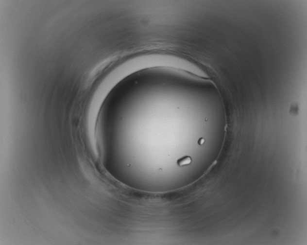 X0000113960587200910162005