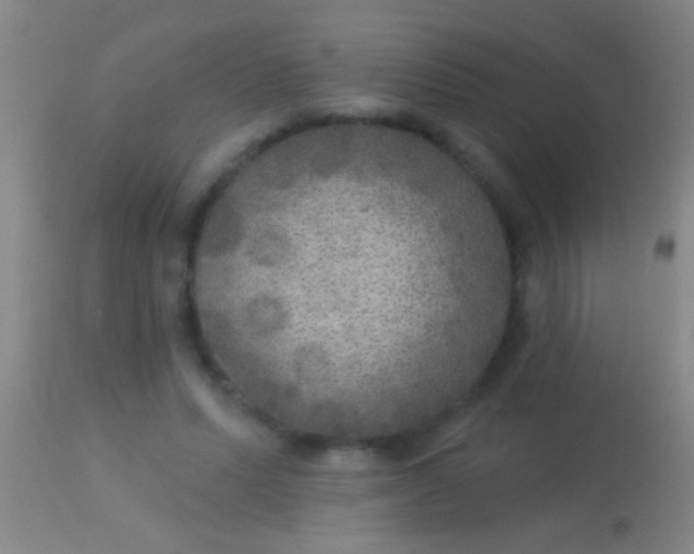 X0000113960591200910162005