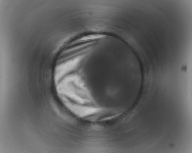 X0000113960592200910162005