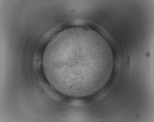 X0000113960593200910162005