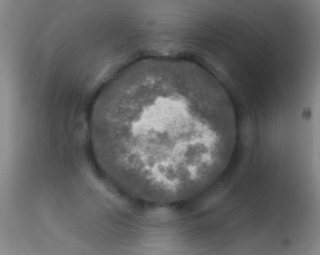 X0000113960594200910162005