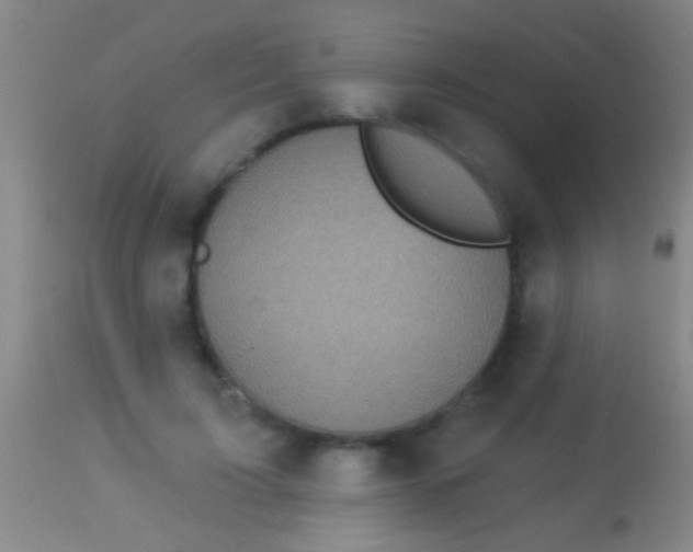 X0000113960595200910162005