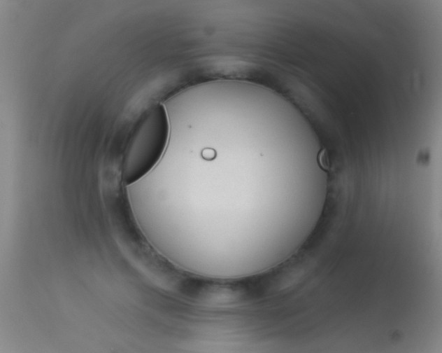 X0000113960597200910162005