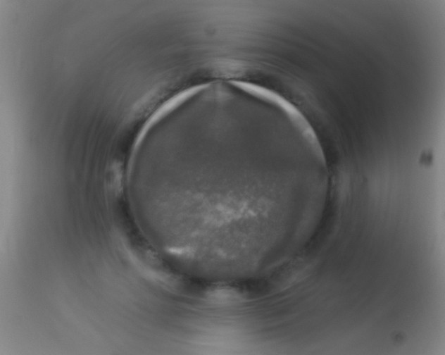 X0000113960598200910162005