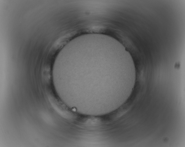 X0000113960599200910162005