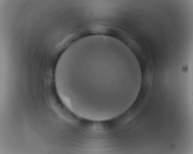 X0000113960600200910162005